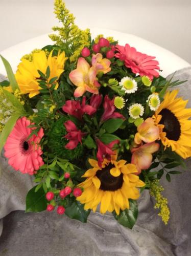 IMG 20210127 092108 1